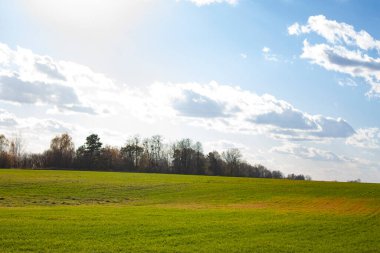 Açık mavi gökyüzü ve beyaz bulutların altında yeşil bir alan. Parlak güneşli bir günde sonbahar manzarası.
