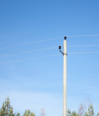 Ormanda açık bir gökyüzüne karşı elektrik kabloları olan bir direk. Güç hatları ve iletişim.