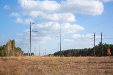 Elektrikli telleri olan kutuplar, açık bir sonbahar gökyüzünün altında ormanın içinde duruyor. Güç hatları ve iletişim.