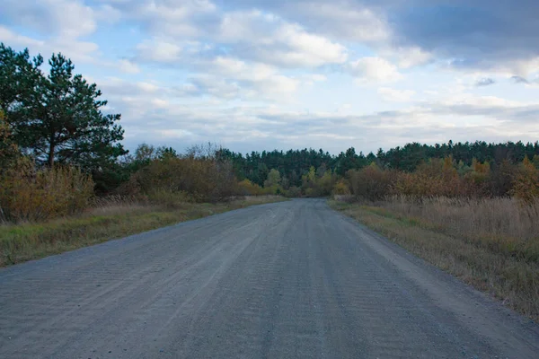 Route Des Champs Mène Forêt Automne Paysage Automne Par Temps — Photo