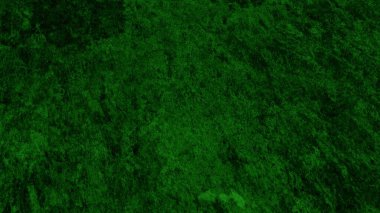 Kuru toprağın yeşil, kirli yüzeyi. Benekli desenli yeşil arkaplan.