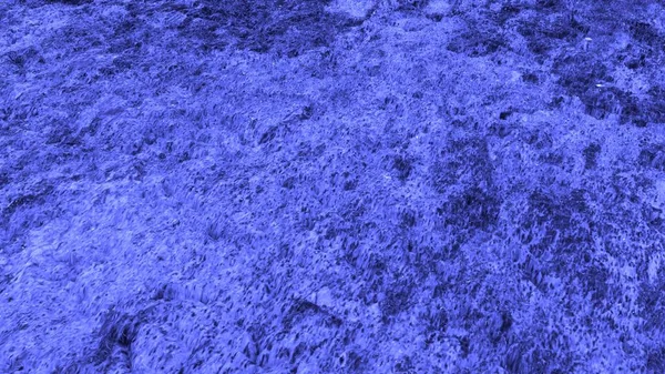Kuru toprağın mavi, kirli yüzeyi. Benekli desenli mavi arkaplan.