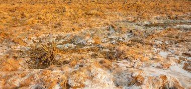 Tuzlu toprağın arkaplan ve dokusu