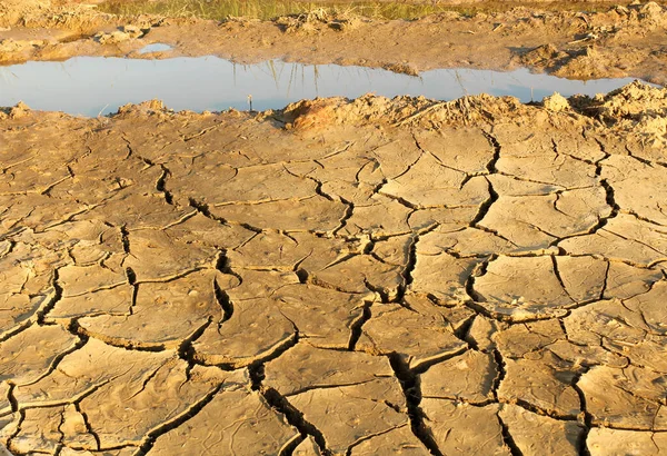 Textura Padrões Solo Que São Rachados Pela Seca — Fotografia de Stock