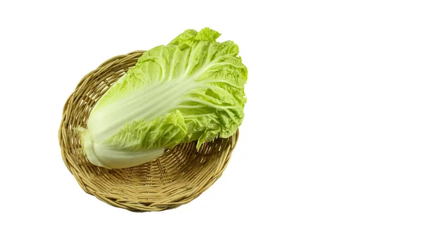 Chinese Cabbage Isolated White Background — Stock Photo, Image
