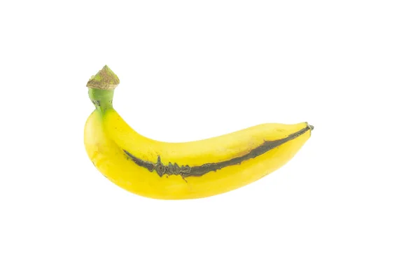 Banano Cavendish Aislado Sobre Fondo Blanco —  Fotos de Stock