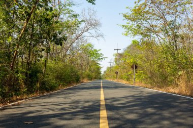Yol Tayland 'ın kırsal kesimlerindeki ormandan geçiyor..