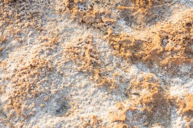 Tayland 'ın kuzeydoğu bölgesinde kuraklık nedeniyle tuz lekesi olan bir kırsal bölgede toprak.