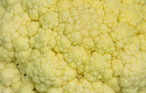 Background Texture Cauliflower — Stock Photo, Image