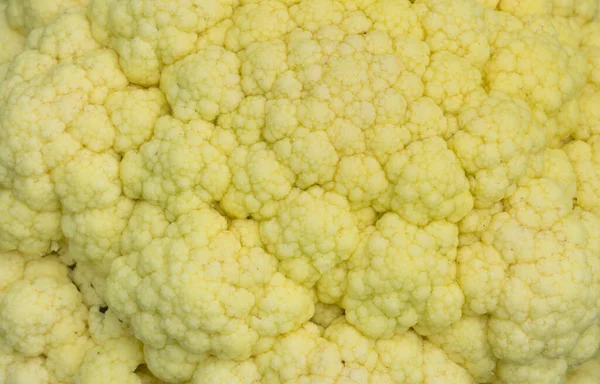 Fondo Textura Coliflor — Foto de Stock