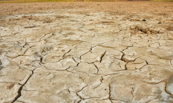 Tayland Kuzeydoğu Bölgesinde Kuraklık Nedeniyle Tuz Lekesi Olan Bir Kırsal — Stok fotoğraf
