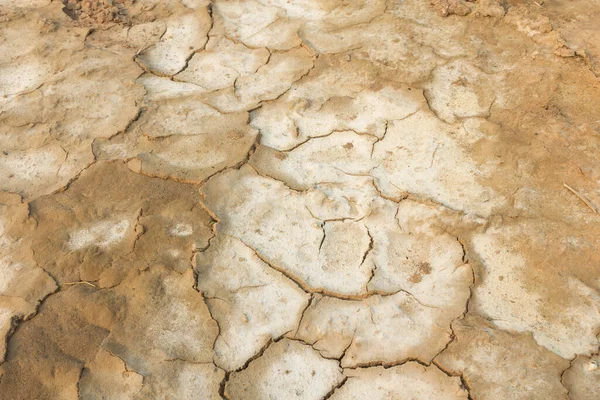 Soil Rural Area Northeast Region Thailand Has Salt Stains Due — Stock Photo, Image