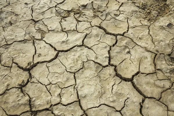 Tayland Kuraklık Yüzünden Çatlamış Kırsalında Bir Arazi — Stok fotoğraf