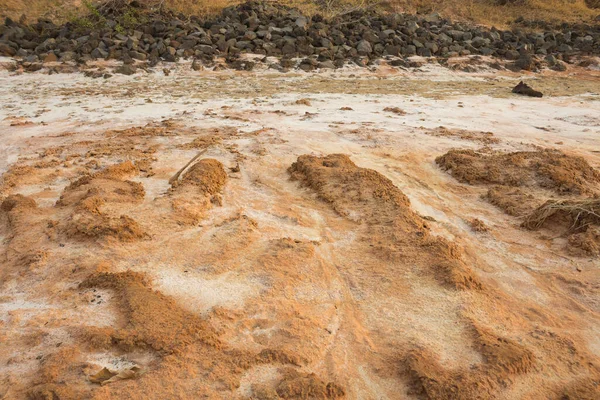 Bodem Een Landelijk Gebied Het Noordoosten Van Thailand Met Zoutvlekken — Stockfoto