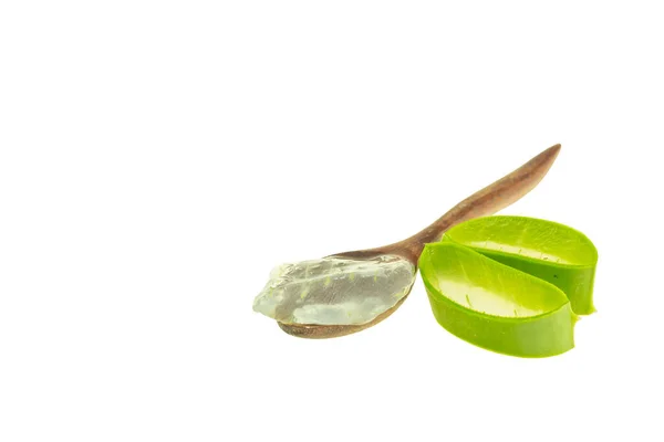 Aloe Vera Isolerad Vit Bakgrund — Stockfoto