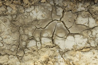 Tayland 'ın kuzeydoğusundaki kırsal bölgelerde bozulma ve verimsizlik nedeniyle tuz birikintileri var..