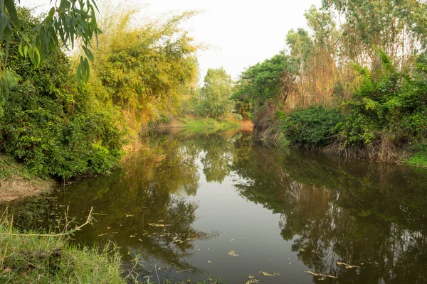 Natuurlijke Kanalen Landelijke Gebieden Van Thailand — Stockfoto