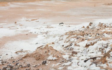 Tayland 'ın kuzeydoğu bölgesinde kuraklık nedeniyle tuz lekesi olan bir kırsal bölgede toprak.