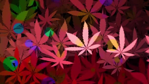 Trippy Psychedelic Cannabis Leaf Background Animation Full Looping Motion Background — Stockvideo