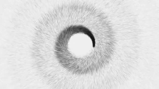 Elegante Espiral Preto Branco Fundo Partículas Partículas Negras Espiral Irradiando — Vídeo de Stock