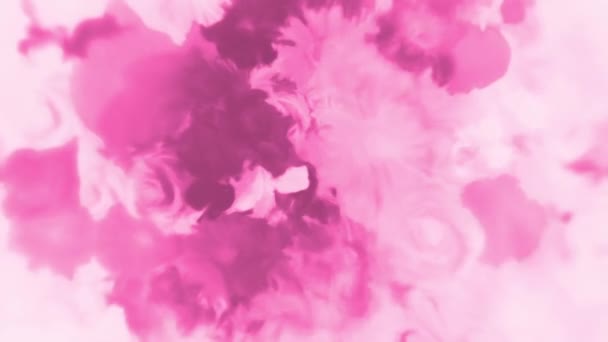 摘要水彩画风格的粉色紫色植物背景动画 花包括菊花 康乃馨 西兰花 绣花和玫瑰 — 图库视频影像