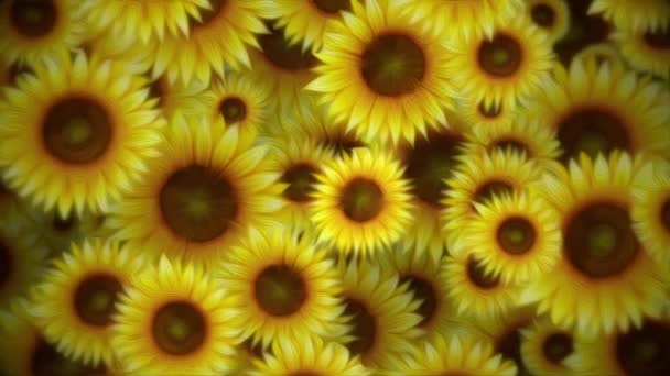 美丽的夏季自然背景动画风格的油画与缓慢移动的盛开的向日葵 活泼的黄色花卉设计运动背景 — 图库视频影像