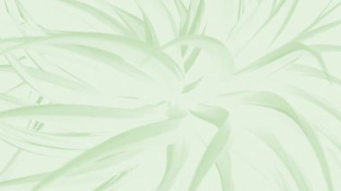 Bitki yaprakları, çimen yaprakları ya da yapraklar rüzgarda hafifçe sallanıyor. Döngüleme, tam HD doğa hareketi arkaplan canlandırması.