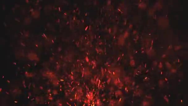 Burning Red Hot Sparks Embers Fire Background Animation Fiery Glowing — Stockvideo