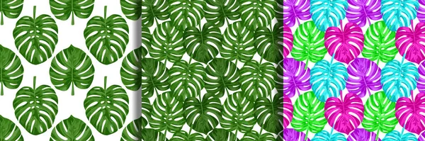 Monstera Seamless Patterns set — Stock Vector