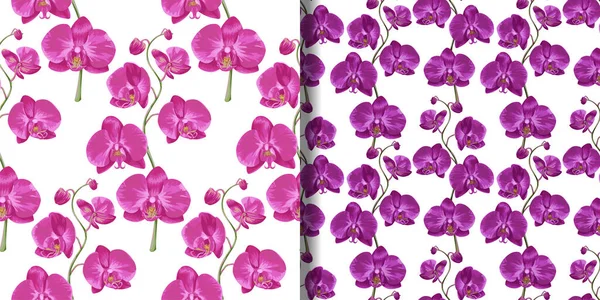Rosa Orchidee florale nahtlose Muster gesetzt — Stockvektor
