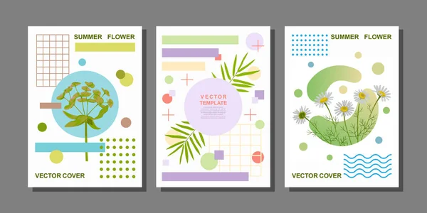 Zomer Kunst Posters Gezet Met Bloemen Grometrische Objecten Natuurlijke Modecomposities — Stockvector