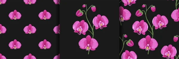 Branche d'orchidée rose imprimé broderie et motifs sans couture ensemble — Image vectorielle