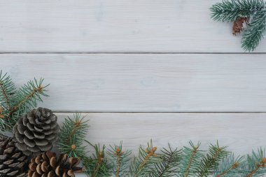 Çam ağacı dalları ve konilerinin en üst görüntüsü beyaz ahşap arka planda uzanıyor, bir sürü kopyalanmış alan. Noel ve yeni yıl konsepti.                              