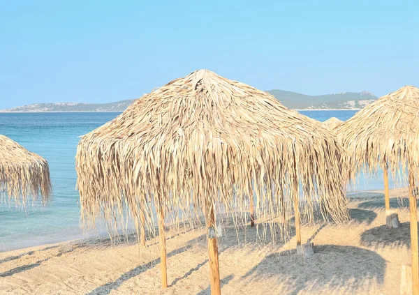 Parapluies de plage Palm — Photo