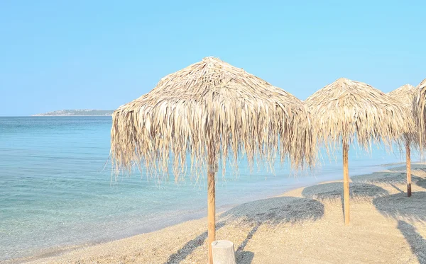 Palm beach umbrellas — Stock Photo, Image