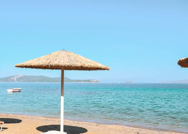 Parasol sur la plage — Photo