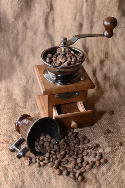 Coffee in a coffee grinder — Stock Photo, Image