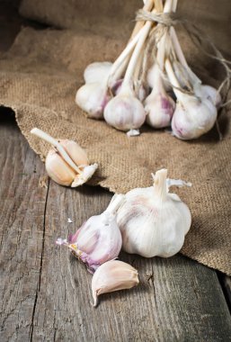 ahşap arka plan ham taze sarımsak 