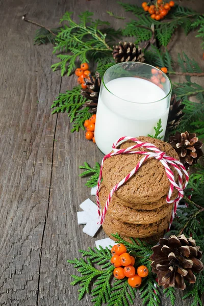 Christmas cookie och mjölk för santa — Stockfoto