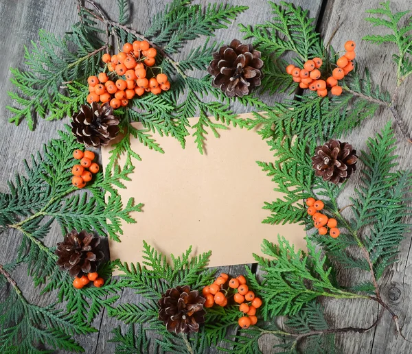 Blank christmas greeting card with fir tree, pinecones and rowan — Stock Photo, Image