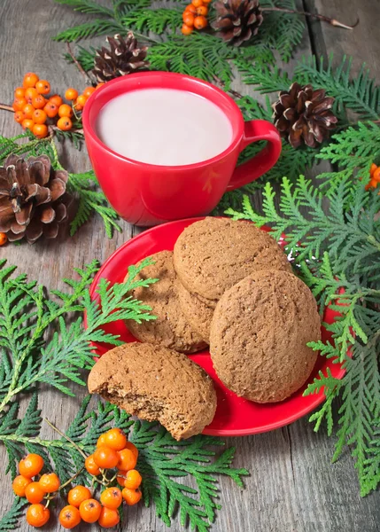 Vánoční cukroví a horká čokoláda — Stock fotografie