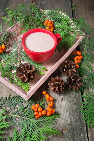 Christmas composition with trees, hot chocolate and cookie — Stock Photo, Image