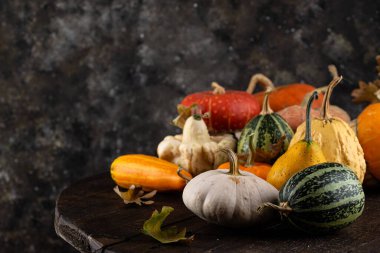 Çeşitli dekoratif balkabakları ve kuru yapraklar..