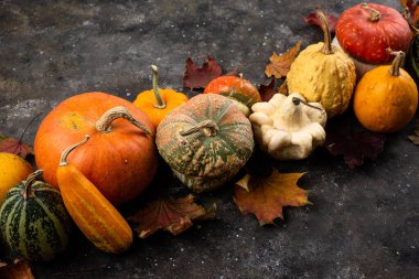 Çeşitli dekoratif balkabakları ve kuru yapraklar..