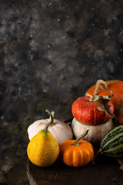 Various decorative pumpkins and dry leaves. — Stock Photo, Image