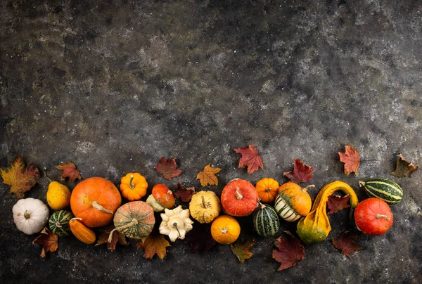 Diverses citrouilles décoratives et feuilles sèches. — Photo