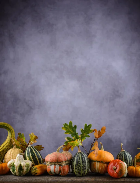 Various decorative pumpkins and dry leaves. — Stock Photo, Image
