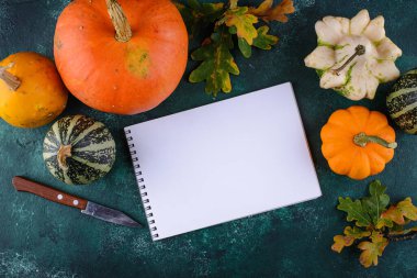 Çeşitli dekoratif balkabakları. Sonbahar hasadı