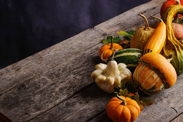 Diverses citrouilles décoratives et feuilles sèches. — Photo