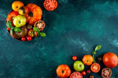 Farklı renkte domatesler.